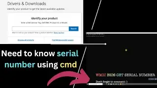 How To Get Serial Number of Laptop/PC in Windows 11/10  Using CMD