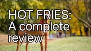 Hot fries
