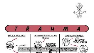 (Arabic)Trauma and the nervous system a Polyvagal perspective with Arabic Subtitles.