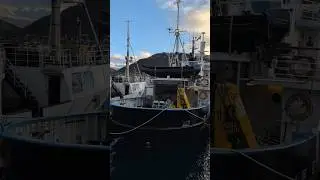 A boat and two ships. #shorts #cargoship #travel #boattrips #pixel9proxl