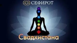 Видеонастройка на Свадхистану