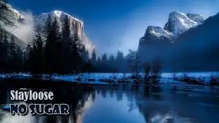 Stayloose - No Sugar