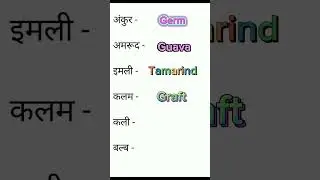 रोजाना बोले जाने वाले 5 इंग्लिश Words #vocabulary #Shorts