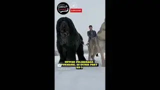 7 HEWAN PELIHARAAN TERMAHAL DI DUNIA| [Viral & Tersembunyi]