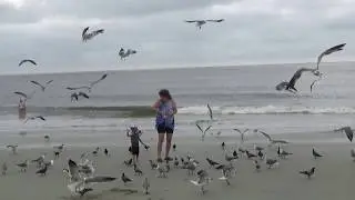 Savannah's Beach Tybee Island GA