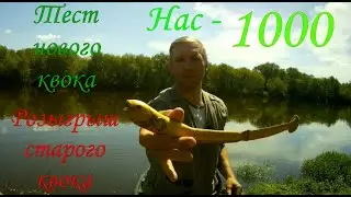 Нас 1000. Розыгрыш прошлогоднего Квока. Тест нового Квока. 