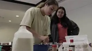First Year Eats