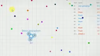TOP 1