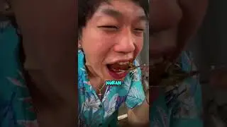 BabiGuling jogja#kuliner #babi #babiguling #jakarta #jogja #jogjaistimewa #jogjakuliner #fyp #tiktok