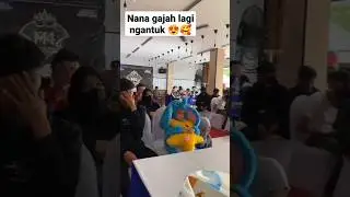 nana gajah lucu 😍🥰 