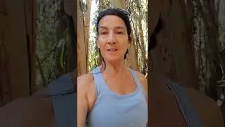 Members Only ~ Trees over oceans, what people need for relationships, Great Gym Guy
