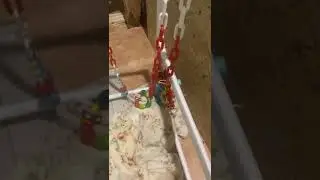 Игровой домик щенкам своими руками