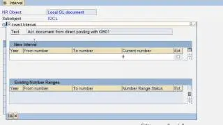 SAP Profit Center Accounting Configuration - Define Number Ranges for Local Documents