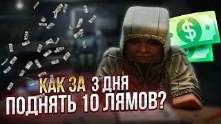 КАК ПОДНЯТЬ 10 ЛЯМОВ ЗА 3 ДНЯ \ STALCRAFT: X