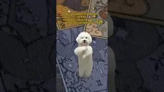 Пау пау пау 😋 art:12608 