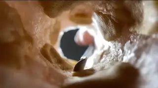 ASMR EAR CLEANING / LIMPEZA DE OUVIDO ASMR