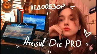 ПЫТАЮСЬ ОБОЗРЕВАТЬ ARTISUL D16