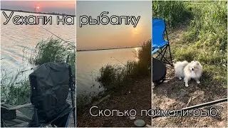 ТАКОЙ РЫБАЛКИ У НАС ЕЩЕ НЕ БЫЛО😳 | Сколько поймали рыбы?🎣