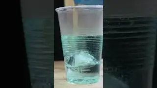 Can you cast ice in epoxy resin? #experiment #resincast