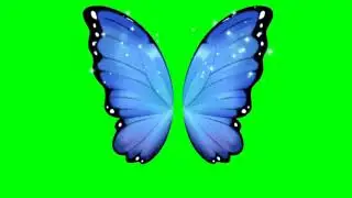 FREE HD Green Screen - FLAPPING BUTTERFLY WINGS -Effect