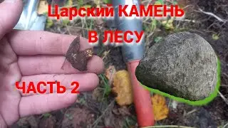 В лесу по дорогам  Коп с металлоискателем Garrett ace 250