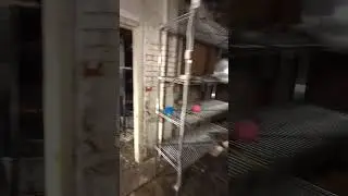 Working in the basement