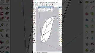 Leaf Design In SketchUp 🍃🍂 