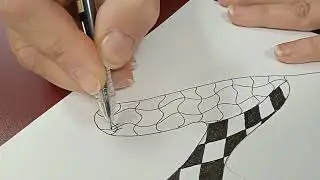 видео занятие 