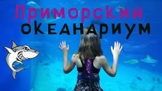 Океанариум на о. Русский. Куда сходить с ребёнком во Владивостоке. Видеомонтаж в Camtasia Studio 9