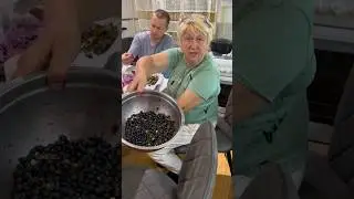 Зять припух