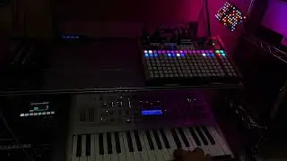Jamuary 2024 16