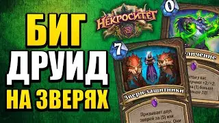 БИГ ДРУИД НА ЗВЕРЯХ | ЭТА КОЛОДА ДЕЛАЕТ ГРЯЗЬ! | Некроситет Hearthstone
