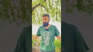 Варикоз