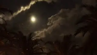 Moontree • Sound Design | Shot