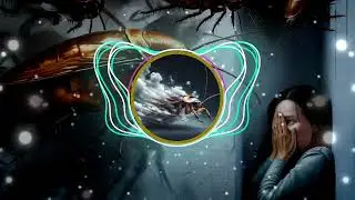 Z.T - Lipas