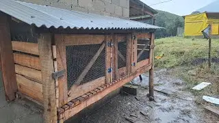 iniciamos uma criação de coelhos no sitio 🐰