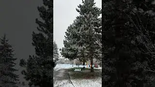 Snowing Cluj-Napoca📍🇷🇴 