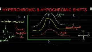 HYPERCHROMIC & HYPOCHROMIC SHIFTS