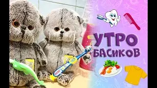 Утро Бэби Басиков / Играем с Беби Басиками / Что едят Басики / Передаем привет подписчице Маше!