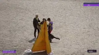 Чемпионат России IGP-2023 Veyron von Kayman С-87