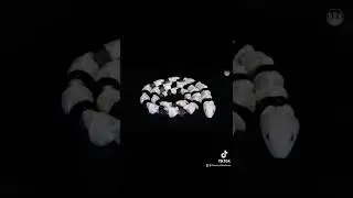 3D printing articulated Snake // #3dprinting #shorts