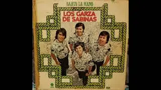 LOS GARZA DE SABINAS  