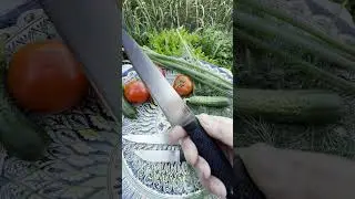 Набор кухонных ножей из кованой стали Х12МФ, рукояти из эластрона