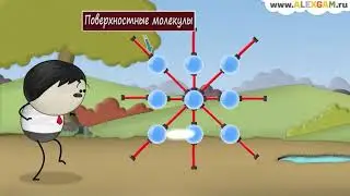 Почему капли сферические?