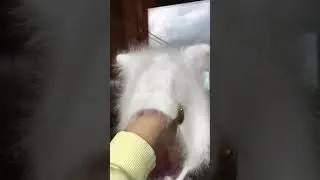 Вяжу шапочки из ангоры