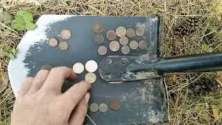 Копаю в лесу