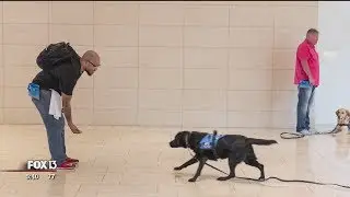 Southeastern Guide Dogs helps veterans get past PTSD