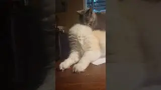 But where's his head?