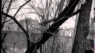 А Невзоров Дикое поле 16 Последние солдаты империи