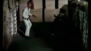 Bruce Lee In the Kato Show